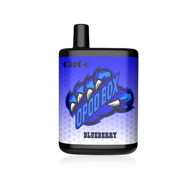 Custom Printed Disposable Electronic Cigarette 4800 Puffs Mesh Coil 11.5ml E Liquid