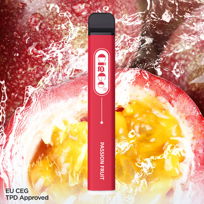 600 Puffs 2ml Capacity Disposable Pod Vape TPD Standard E Cigarette Vaper
