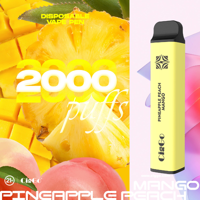 6.5ml E Liquid Disposable Vape Pod Vertical Coil 2000 Puffs Smoke Pod Kit
