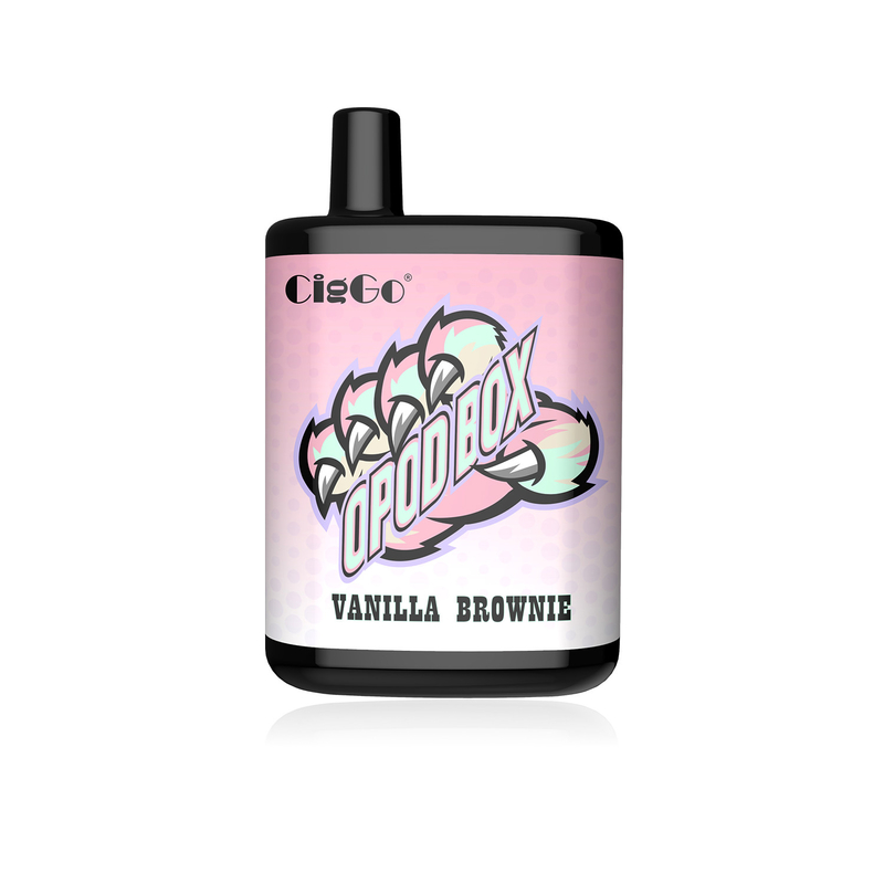 Custom Printed Disposable Electronic Cigarette 4800 Puffs Mesh Coil 11.5ml E Liquid