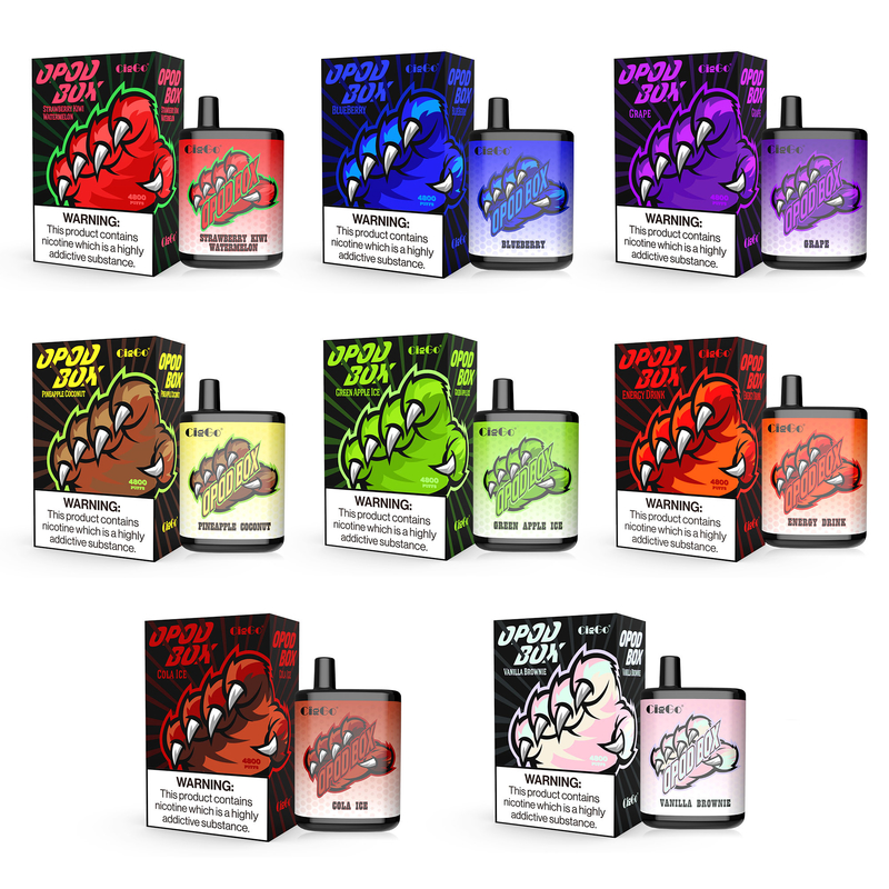 4800 Puffs Disposable Vape Pen 650mAh Rechargeable Mesh Coil 11.5ml Capacity